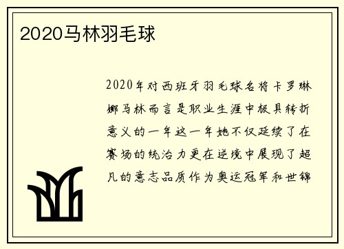 2020马林羽毛球